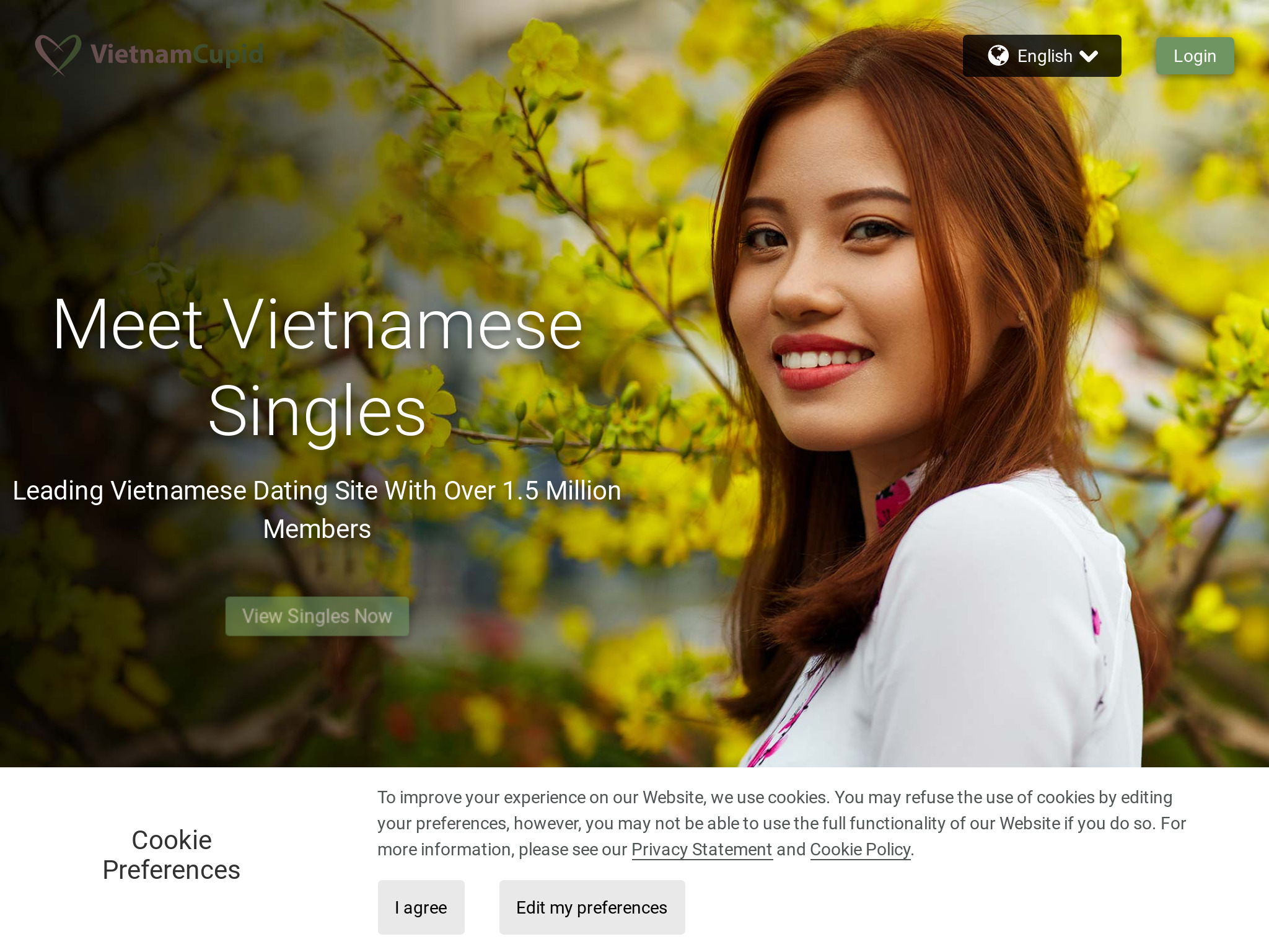 Recensione VietnamСupid: uno sguardo approfondito alla popolare piattaforma di incontri